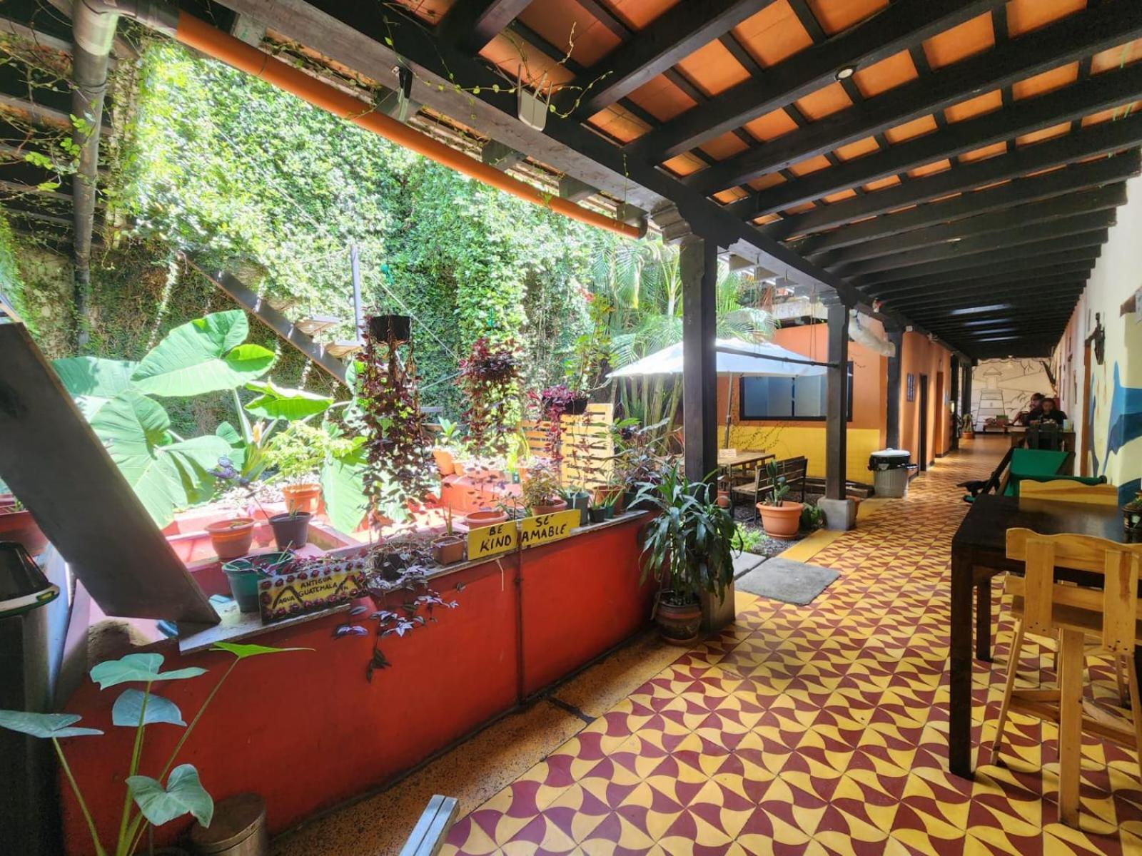Amura Hostal Antigua Exterior foto